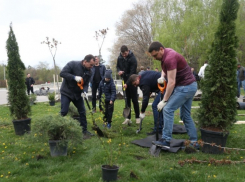  Губернатор и мэр Краснодара посадили 38 деревьев в Чистяковской роще 