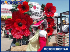 Море ягод и масса веселья: показываем цены и ассортимент на популярном фестивале клубники в Краснодаре  