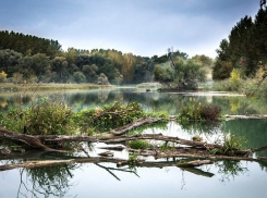 В Краснодарском крае планируют восстанавливать реки