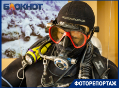 Затопленный линкор, мирные акулы и удивительные факты: что нужно знать о Чёрном море
