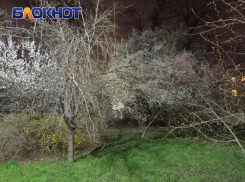 Грядет пора обильного полива: наступающее лето готовит садоводам и огородникам Краснодарского края новые заботы