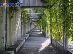 Не только «Два холма»: вспоминаем фильмы, которые сняли в Краснодаре