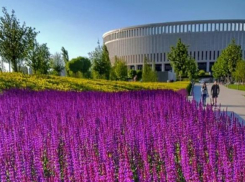 Жителей Краснодара восхитила «новая локация» в парке Галицкого