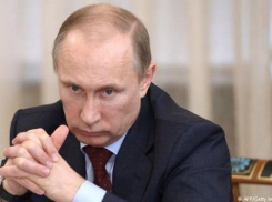 «Отряды Путина» выгнали из офиса в Краснодаре