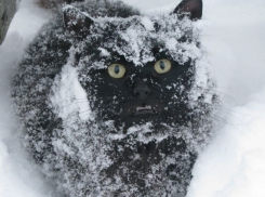 В Краснодаре ожидается усиление снега и гололед