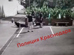 Ударили бутылкой по голове, распылили газовый баллончик и угрожали ножом: в Краснодаре напали на сидящих на скамейке парня с девушкой
