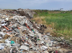 В Краснодаре возбудили уголовное дело из-за незаконной свалки опасных отходов