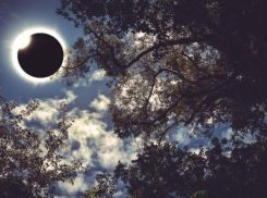 Жители Краснодара пропустят единственное полное солнечное затмение в этом году