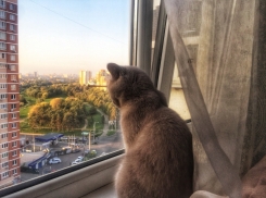 Погода в Краснодарском крае испортится