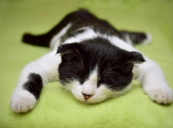 На Кубани разгуляются майские грозы