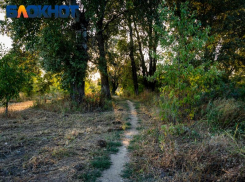 В Краснодаре 24 февраля сохранится весенняя погода