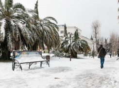 Стихия в ближайшие часы обрушится на Сочи 