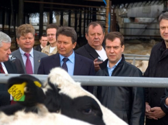 Гендиректора кубанского мясоперерабатывающего завода подозревают в коррупции