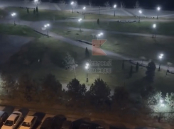 Стая бродячих собак держит в страхе жителей ЮМР в Краснодаре