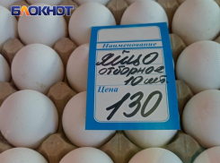 В Краснодарском крае куриные яйца подорожали на 5% за неделю