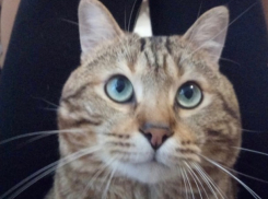 С какой погоды начнется последняя неделя лета на Кубани