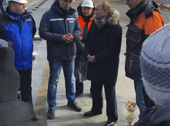 «Замурррчательный» кот Мостик похвастался фото с Путиным на Крымском мосту