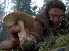 На Кубани умерли три человека от отравления грибами