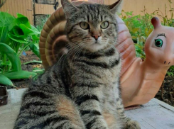 До +7 градусов опустится температура воздуха в Краснодарском крае