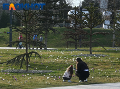 Есть вероятность дождей: что прогнозируют краснодарцам в середине марта?