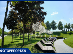 Неизвестный парк Галицкого: пустынные аллеи, скверы и беседки