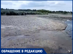 «Бедные рыбы, cтрадает экология»: жители Краснодарского края бьют тревогу из-за спуска водоёма 