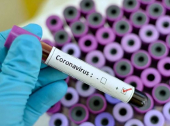 Из больницы в Сочи сбежали пациенты, не прошедшие тесты на коронавирус