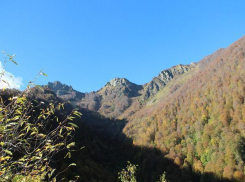 Сочинские спасатели вывели из леса двух заблудившихся туристов