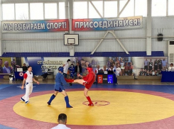 На Кубани прошел первый в истории краевой чемпионат по боевому самбо