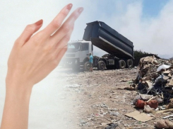 Задушил и расчленил: стали известны подробности расправы над хозяйкой найденной на свалке Анапы руки