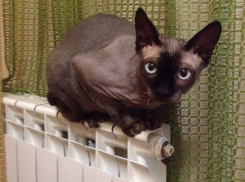  Замерзшим краснодарцам вернули тепло после аварии 