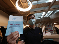 Липовые ПЦР-тесты и сертификаты о прививках от COVID-19 начали предлагать туристам на курортах Кубани
