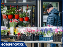 Под Краснодаром показали цены на цветы к 8 Марта