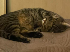 До -3 упадет температура воздуха в Краснодарском крае