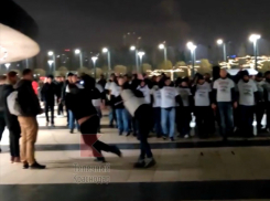 Фанат «Базеля» напал на оператора после матча в Краснодаре