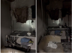 Закидали бутылками с бензином: груминг-салон сожгли в Краснодаре  