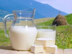 Кубанским фермерам выплатят 227, 5 миллионов рублей в виден субсидий на молоко