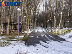 Деревья умирают, детские городки сносят, бизнес выдавливают: в Краснодаре 4 года не могут разработать концепцию развития парков