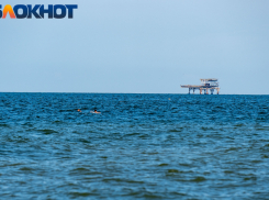 Иностранец-нелегал тайно прибыл в Краснодарский край на пароме под флагом Камеруна