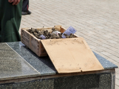 В Краснодаре торжественно собрали землю с солдатских могил