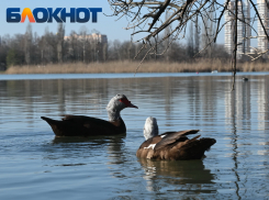 Осень закончится дождем в Краснодаре