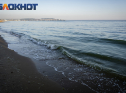 Загрязнённая мазутом рыба из Чёрного моря может попасть на прилавки