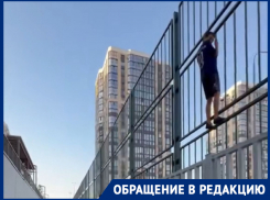 «Дети сидят на заборах»: микрорайон в Краснодаре оккупировала стая собак 