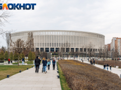 Статистики сообщили об увеличении численности населения в Краснодарском крае 