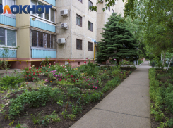 Воздухом с запахом тухлых яиц вынуждены дышать жители Краснодара