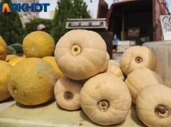 В Краснодаре 14 октября откроют 11 ярмарок выходного дня