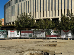 В парке Галицкого удлиняют аллею платанов из-за жалующихся на солнцепёк людей