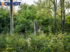 В Адыгее объявили о начале пожароопасного сезона