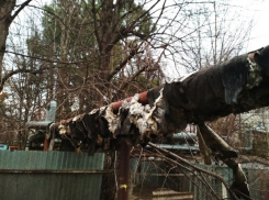 Активисты ради чиновников лазили по теплотрассам Краснодара