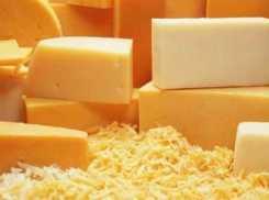 В Краснодарском крае построят сырный завод
